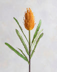 Faux Banksia 27"