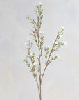 Waxflower Silk 31"