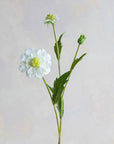 Scabiosa Silk 22"