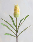Faux Banksia 27"
