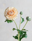 Ranunculus Clooney Real Touch 20"