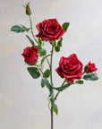 Climbing Roses Real Feel 35"
