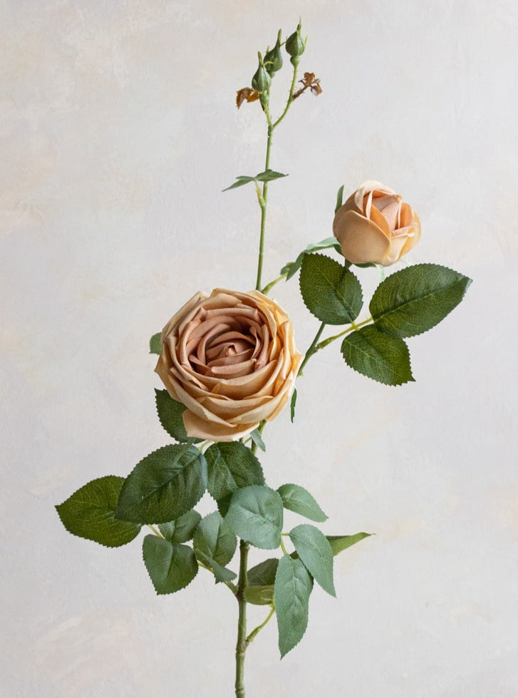 Real Touch Garden Rose Spray | Desert Sand