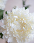 Chrysanthemum Silk 30"