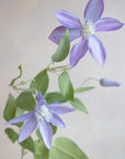 Clematis Silk 26"