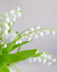 Faux Lily of the Valley 14"