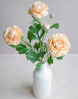 Ranunculus Clooney Real Touch 20"