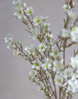 Waxflower Silk 31"