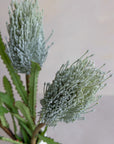 Faux Banksia 27"