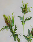 Faux Thistle 26"