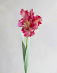 Faux Parrot Tulip 27"