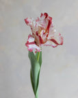 Faux Parrot Tulip 27"