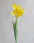 Faux Parrot Tulip 27"