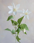 Clematis Silk 26"
