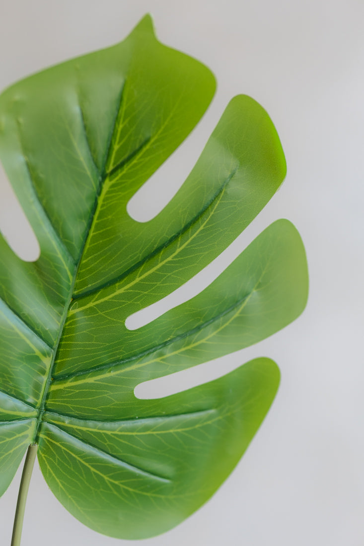 Faux Monstera Leaf