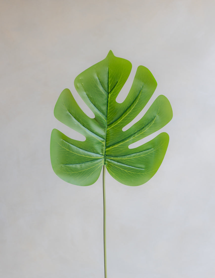 monstera leaf faux Faux Monstera Single Leaf 18