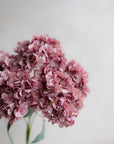 Hydrangea Bunch Silk 19"