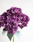 Hydrangea Bunch Silk 19"