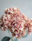 Hydrangea Bunch Silk 19"