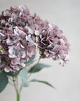 Hydrangea Bunch Silk 19"
