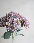 Hydrangea Bunch Silk 19"