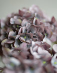 Hydrangea Bunch Silk 19"