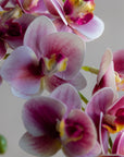Mini Faux Phalaenopsis Orchids 29"