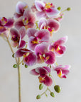 Mini Faux Phalaenopsis Orchids 29"