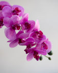 Mini Faux Phalaenopsis Orchids 22"