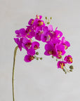 Mini Faux Phalaenopsis Orchids 29"