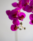 Mini Faux Phalaenopsis Orchids 29"
