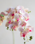 Mini Faux Phalaenopsis Orchids 29"