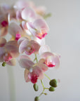 Mini Faux Phalaenopsis Orchids 29"