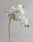 Mini Faux Phalaenopsis Orchids 29"