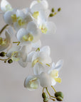 Mini Faux Phalaenopsis Orchids 29"