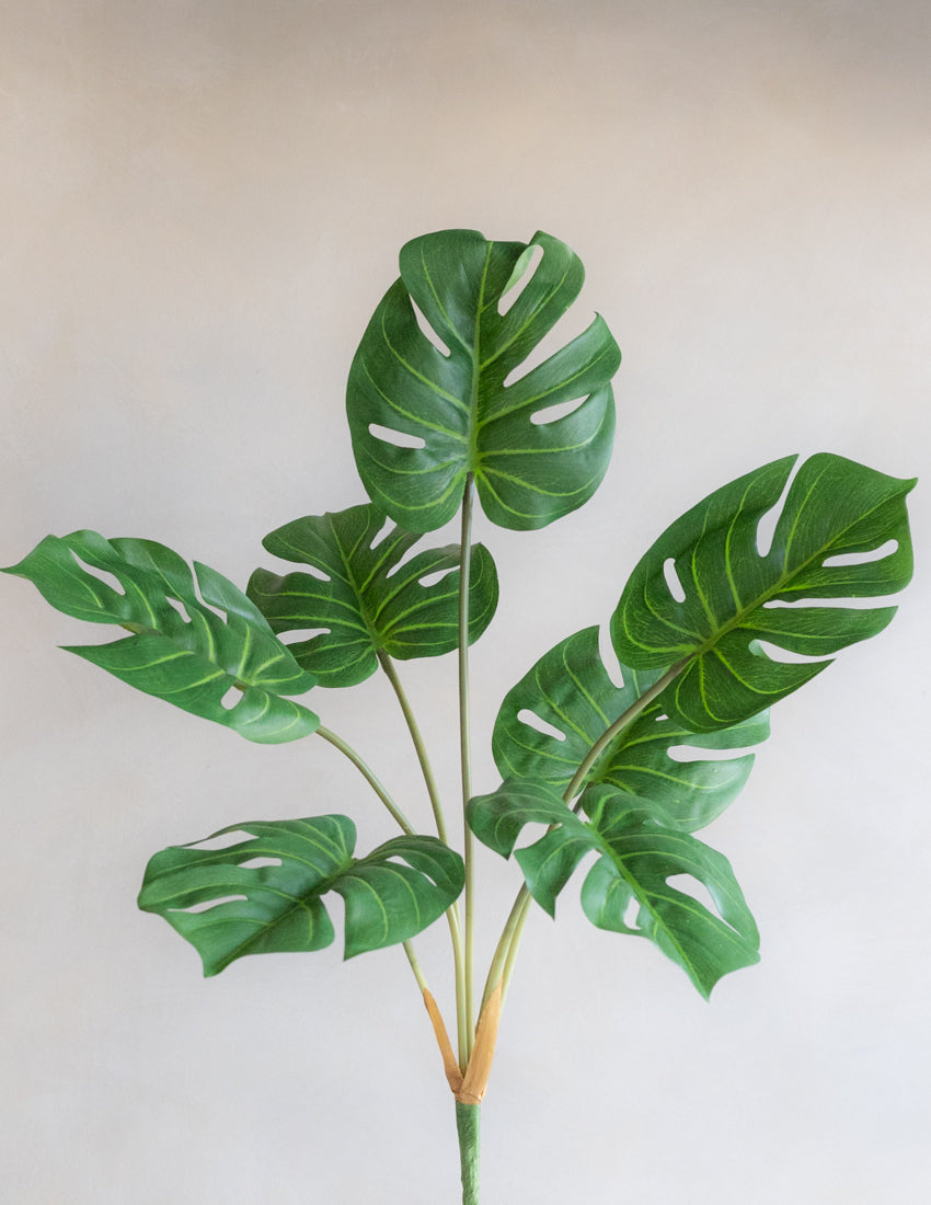 faux monstera leaf plant Faux Monstera Bunch