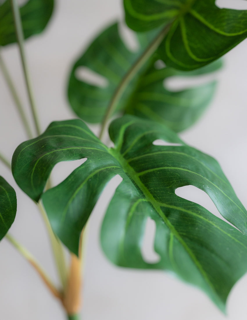faux monstera Faux Monstera Bunch