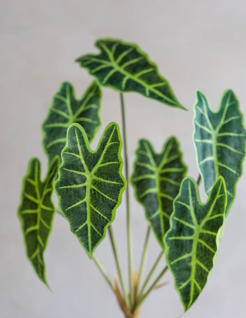 faux philodendron leaf Faux Philodendron Flower Bunch