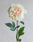 Peonies Real Touch 27"