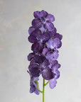 Vanda Orchids Real Feel 32"