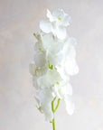 Vanda Orchids Real Feel 32"