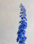 Delphinium Silk 41"