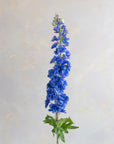 Delphinium Silk 41"