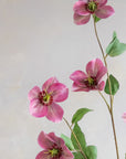 Hellebores Silk 45"