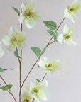 Hellebores Silk 45"