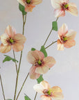 Hellebores Silk 45"