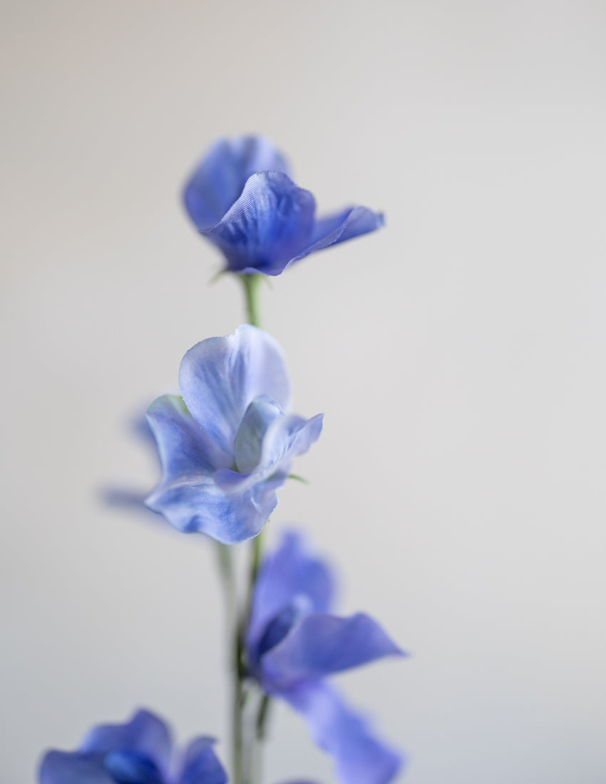 Silk Sweet Pea Flower | Blue | Elements By Tracey