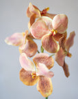 Vanda Orchids Silk 25"
