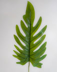 Faux Xanadu Single Leaf 23"