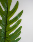 Faux Xanadu Single Leaf 23"